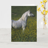 Arab Horse Standing in Flowers Karte (Gelbe Blume)