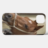 Arab Horses Case-Mate iPhone Hülle (Rückseite (Horizontal))