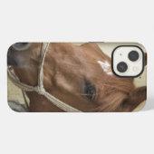 Arab Horses iPhone Hülle (Rückseite (Horizontal))