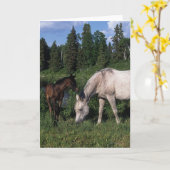 Arab Mare & Foal 2 Karte (Gelbe Blume)