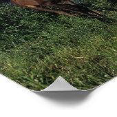 Arab Mare & Foal 2 Poster (Ecke)