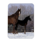 Arab Mare & Foal in Snow Magnet (Vertikal)