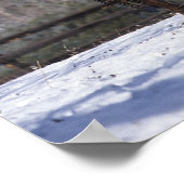 Arab Mare & Foal in Snow Poster (Ecke)