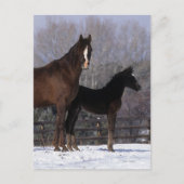 Arab Mare & Foal in Snow Postkarte (Vorderseite)