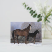 Arab Mare & Foal in Snow Postkarte (Stehend Vorderseite)