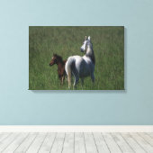 Arab Mare & Foal Leinwanddruck (Insitu (Holzboden))