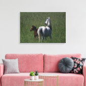 Arab Mare & Foal Leinwanddruck (Insitu (Wohnzimmer))