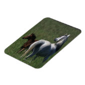 Arab Mare & Foal Magnet (Linke Seite)
