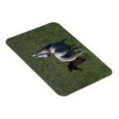 Arab Mare & Foal Magnet (Rechte Seite)