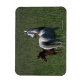 Arab Mare & Foal Magnet (Vertikal)