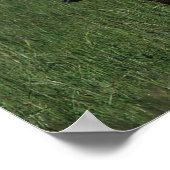 Arab Mare & Foal Poster (Ecke)