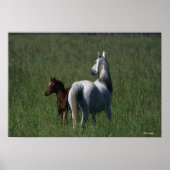 Arab Mare & Foal Poster (Vorne)