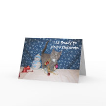 Arabella the Cat - Weiße Weihnachten