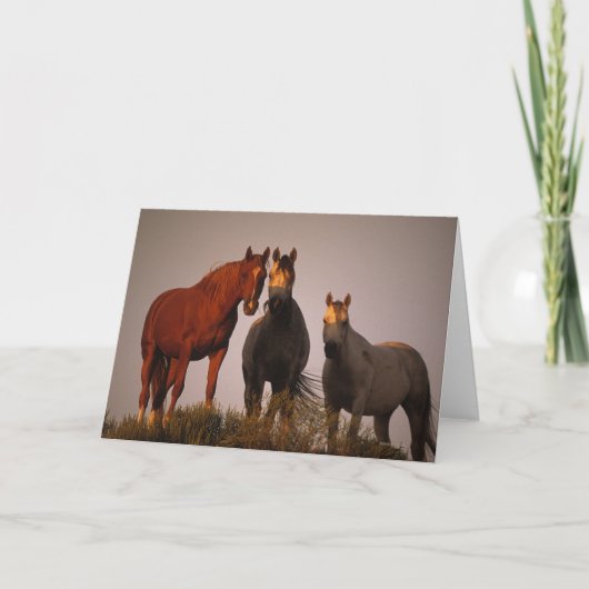 Araber am Sonnenuntergang Karte (Vorderseite)