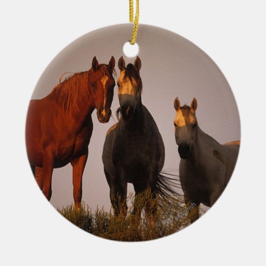 Araber am Sonnenuntergang Keramikornament (Vorne)