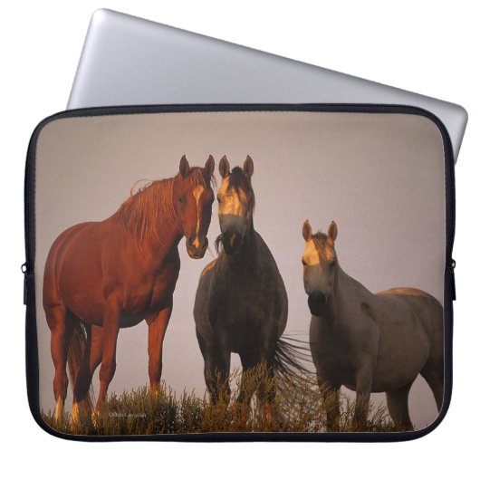 Araber am Sonnenuntergang Laptopschutzhülle (Vorderseite)