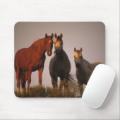 Araber am Sonnenuntergang Mousepad (Mit Mouse)