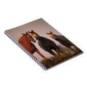 Araber am Sonnenuntergang Notizblock (Rechte Seite)