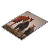 Araber am Sonnenuntergang Notizblock (Linke Seite)