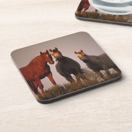 Araber am Sonnenuntergang Untersetzer (Linke Seite)