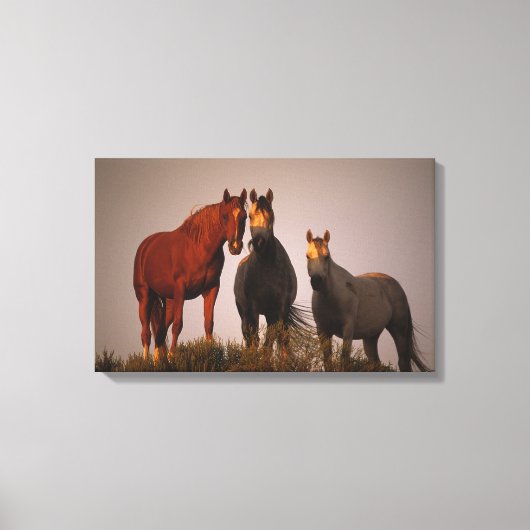 Araber bei Sunset Leinwanddruck (Vorderseite)