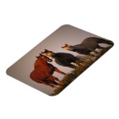 Araber bei Sunset Magnet (Linke Seite)