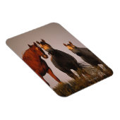 Araber bei Sunset Magnet (Rechte Seite)