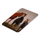 Araber bei Sunset Magnet (Linke Seite)