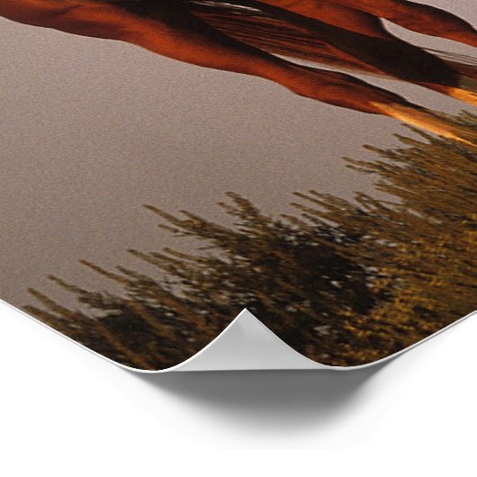 Araber bei Sunset Poster (Ecke)