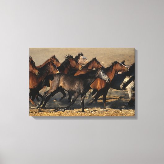 Araber, die in der Wüste laufen Leinwanddruck (Vorderseite)