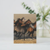 Araber, die in der Wüste laufen Postkarte (Stehend Vorderseite)