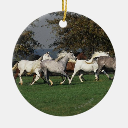 Araber, die in Feld laufen Keramikornament (Vorne)