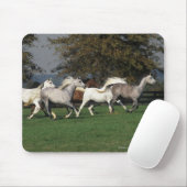 Araber, die in Feld laufen Mousepad (Mit Mouse)