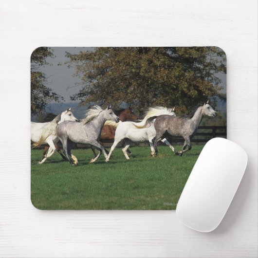 Araber, die in Feld laufen Mousepad (Mit Mouse)