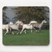 Araber, die in Feld laufen Mousepad (Vorne)