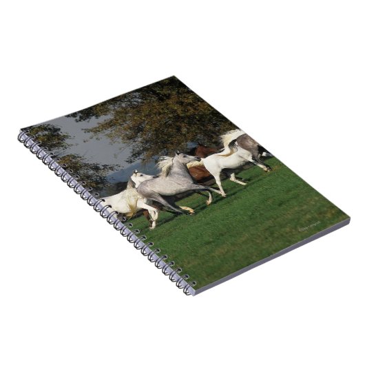 Araber, die in Feld laufen Notizblock (Rechte Seite)