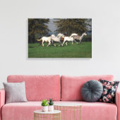 Araber, die vor Ort laufen Leinwanddruck (Insitu (Wohnzimmer))