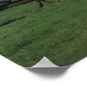 Araber, die vor Ort laufen Poster (Ecke)