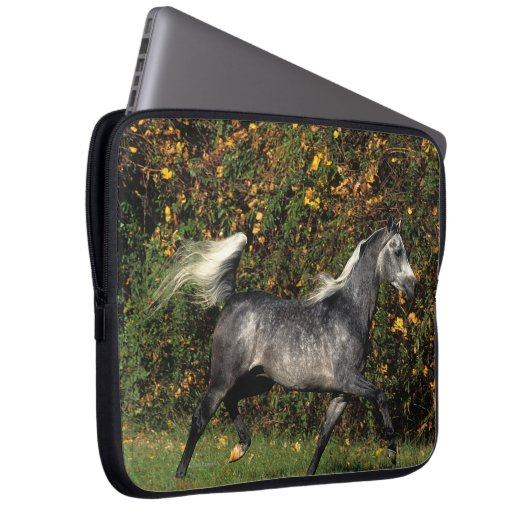 Araber-Laufen: Herbst Laptopschutzhülle (Vorne Rechts)