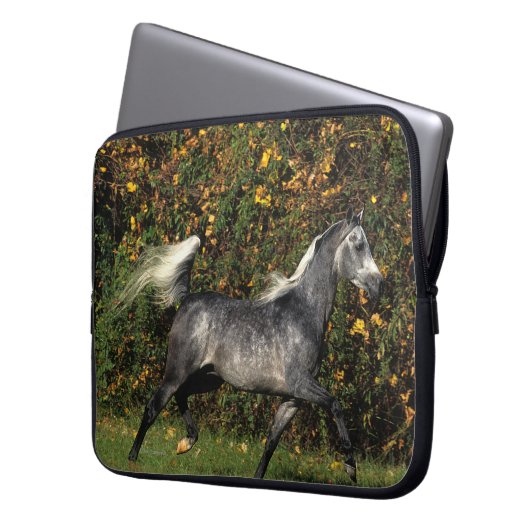Araber-Laufen: Herbst Laptopschutzhülle (Vorderseite Links)