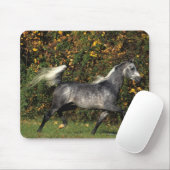 Araber-Laufen: Herbst Mousepad (Mit Mouse)