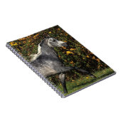 Araber-Laufen: Herbst Notizblock (Rechte Seite)