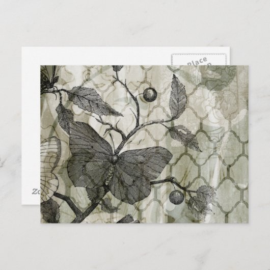 Arabesque Butterfells I Postkarte (Vorne/Hinten)