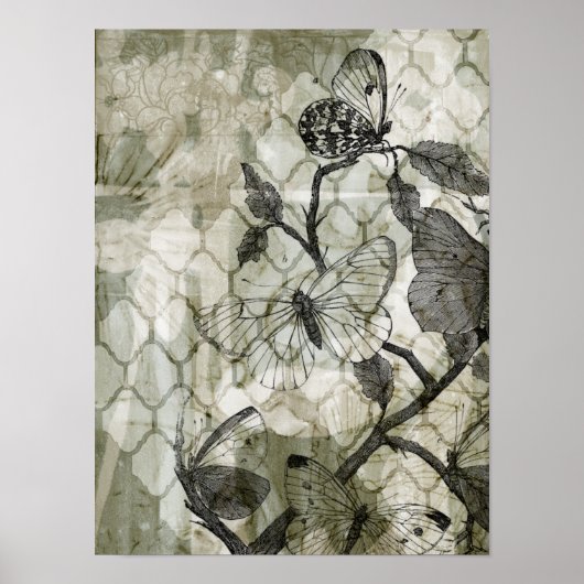 Arabesque Butterflies II Poster (Vorne)