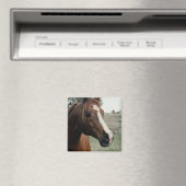 Arabian auf Weide Magnet (In Situ (Geschirrspüler))