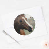 Arabian auf Weide Runder Aufkleber (Umschlag)