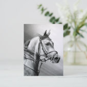 ARABIAN BEAUTY Postcard Postkarte (Stehend Vorderseite)