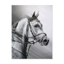 ARABIAN BEAUTY Postcard