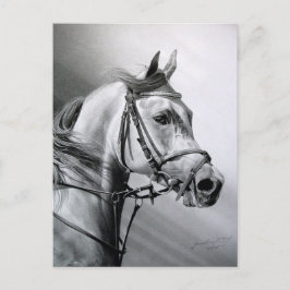 ARABIAN BEAUTY Postcard Postkarte