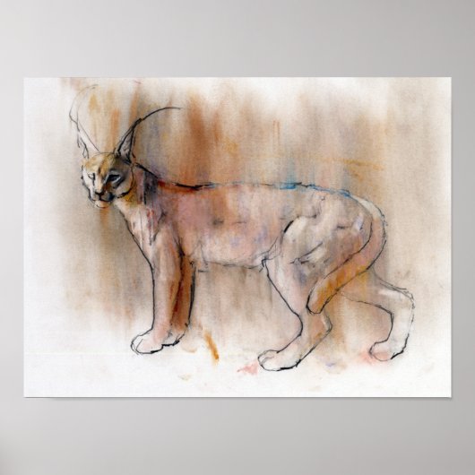 Arabian Caracal 2009 Poster (Vorne)